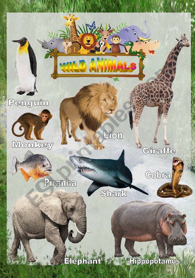 Wild animals - Poster 1 worksheet