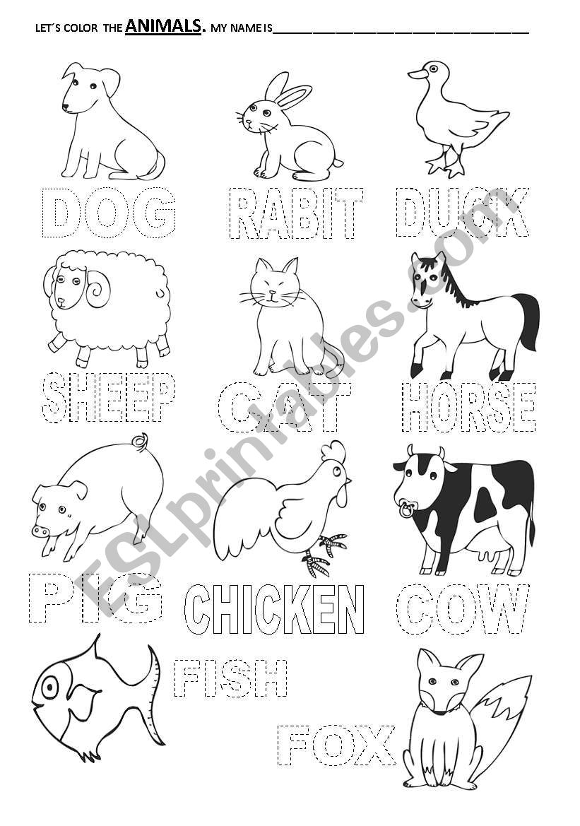 animals worksheet