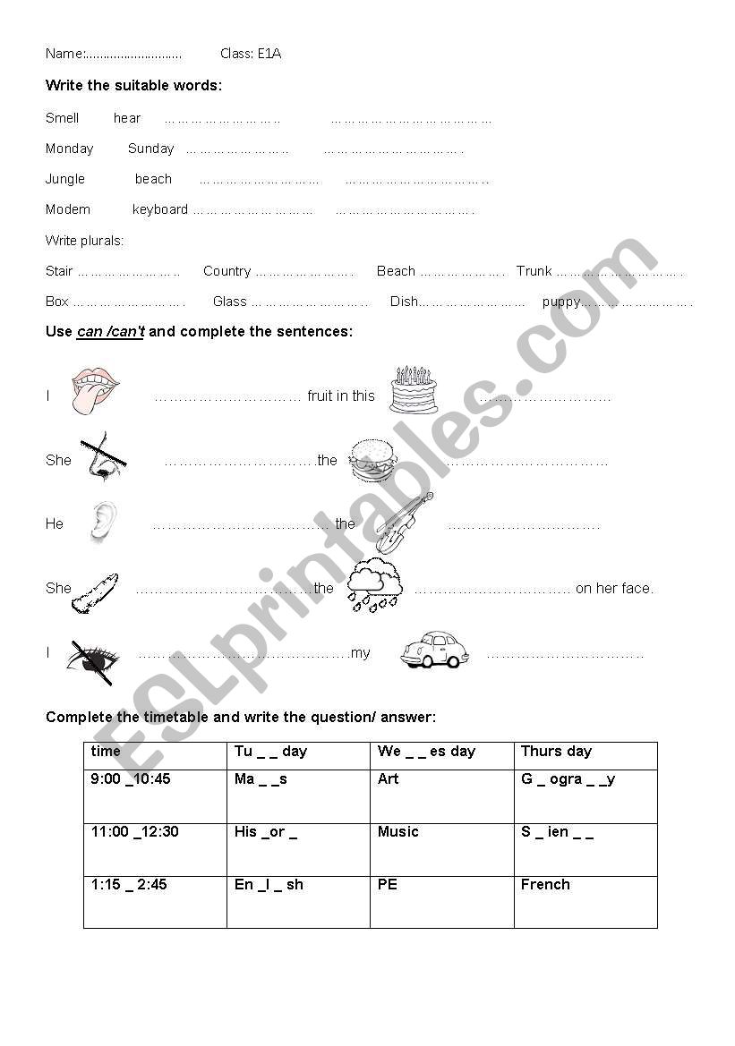 ability and computer worksheet