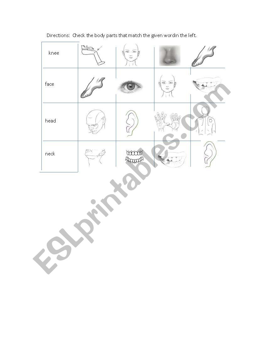 Body parts worksheet