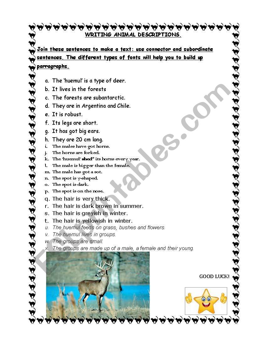 ANIMAL DESCRIPTIONS worksheet