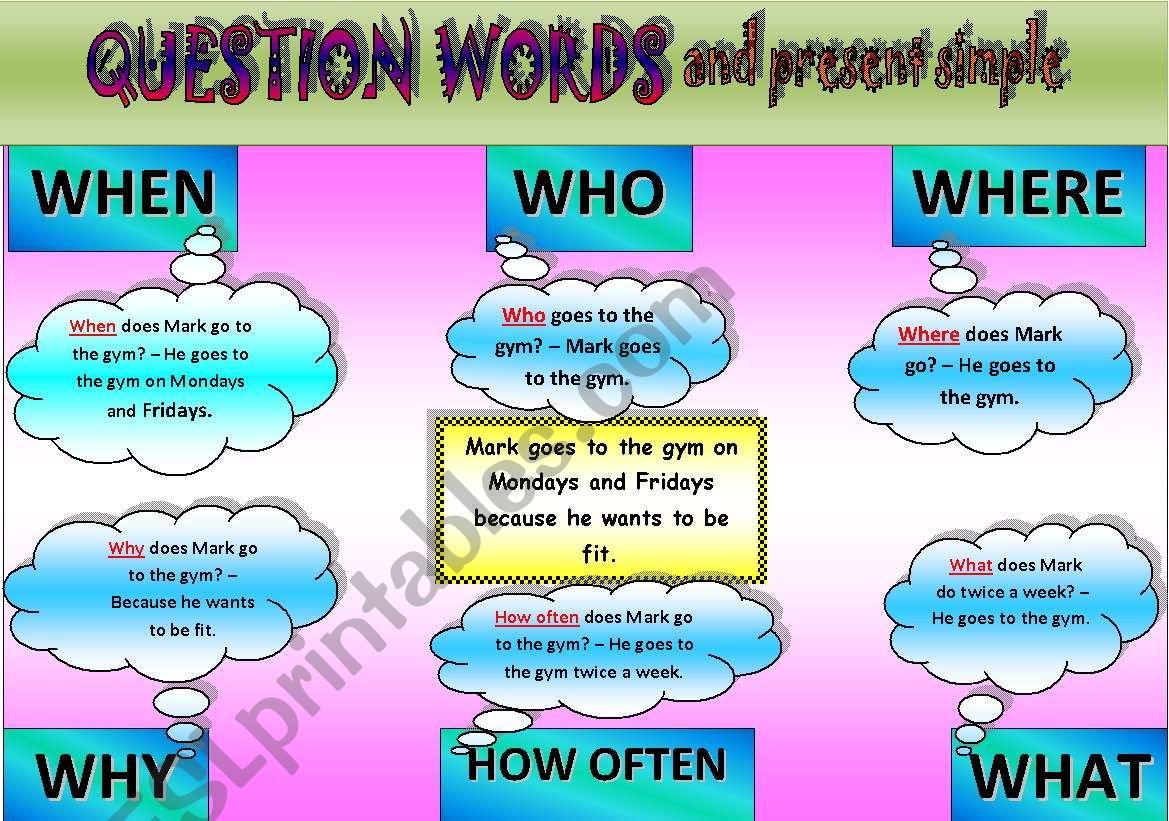Question words and present simple