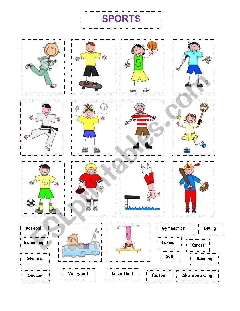 Sports worksheet