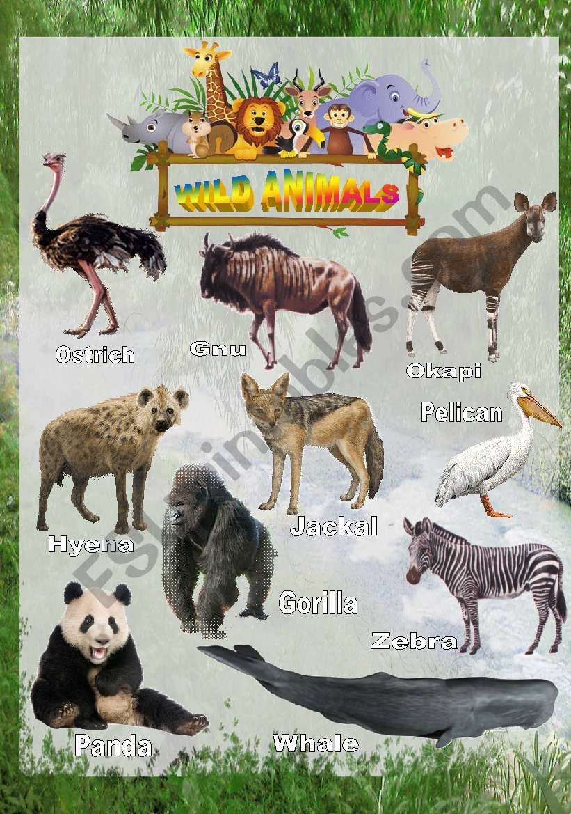Wild animals - Poster 4 worksheet