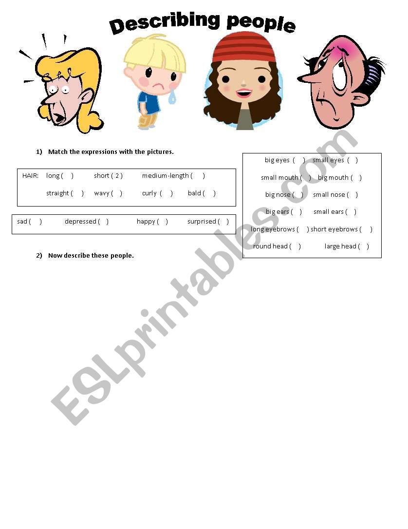 Physical description worksheet