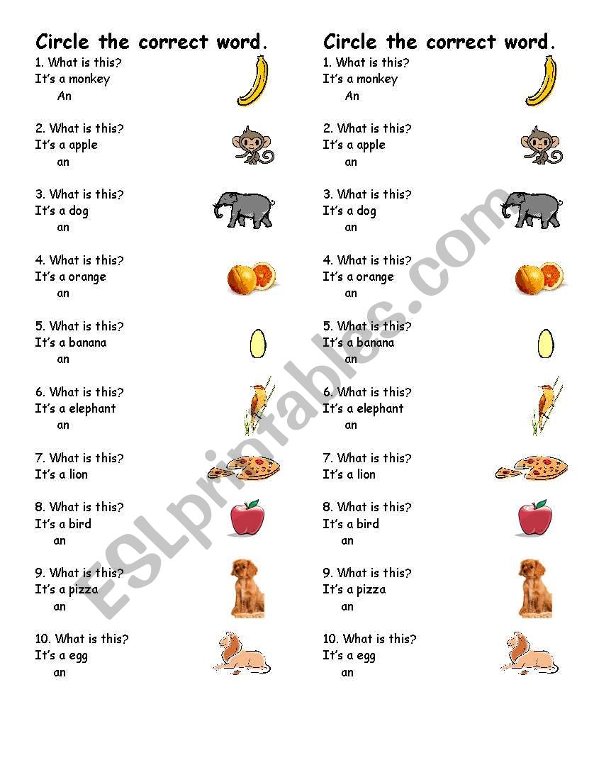 a / an worksheet