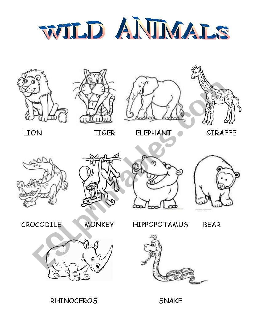 Wild animals worksheet