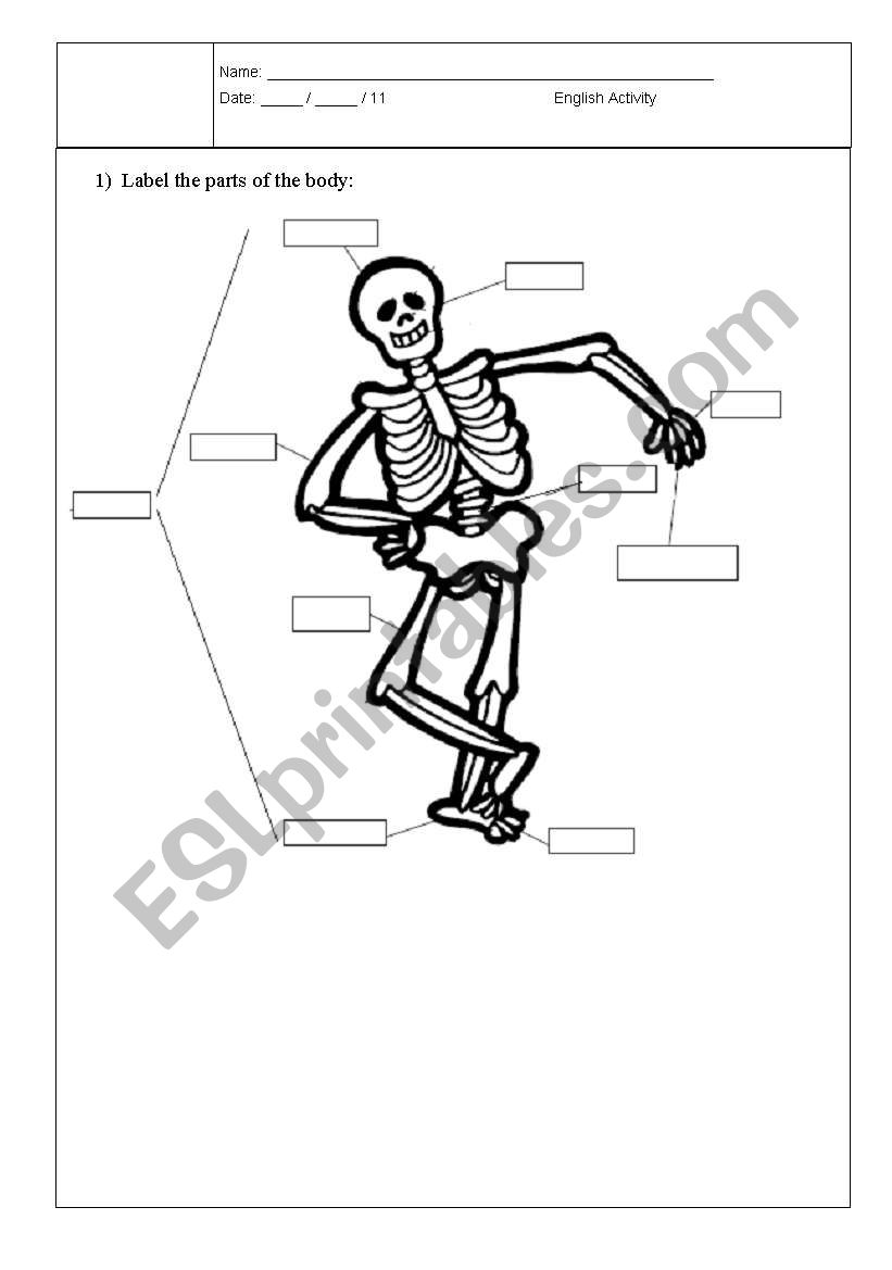 Parts of the body worksheet