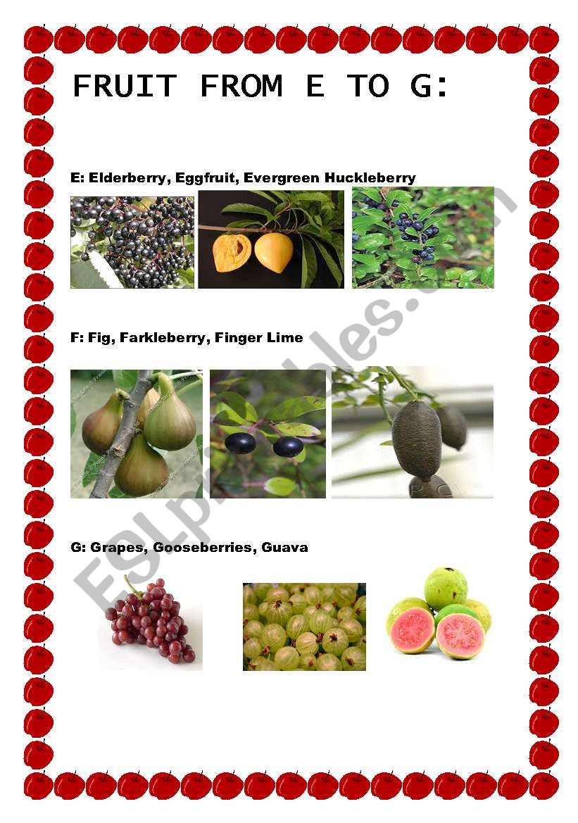 FRUIT FROM E TO G worksheet