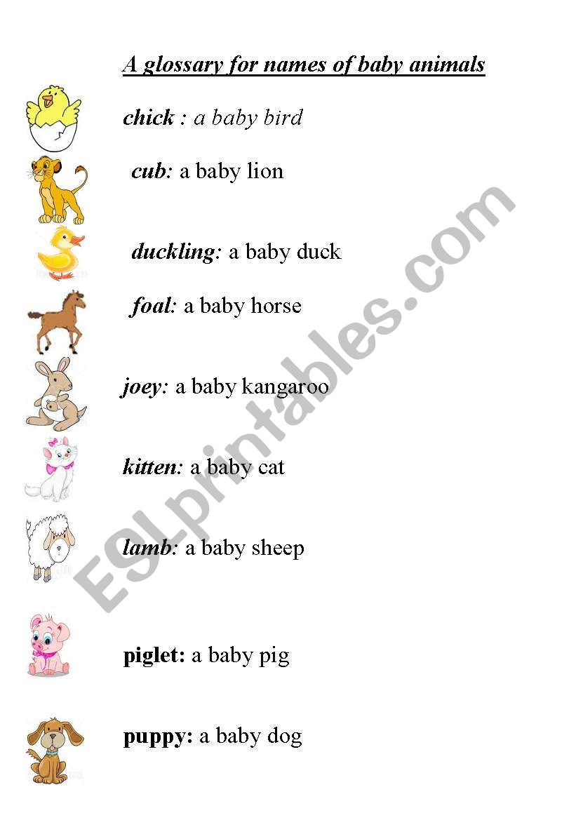 A mini glossary of names of baby animals
