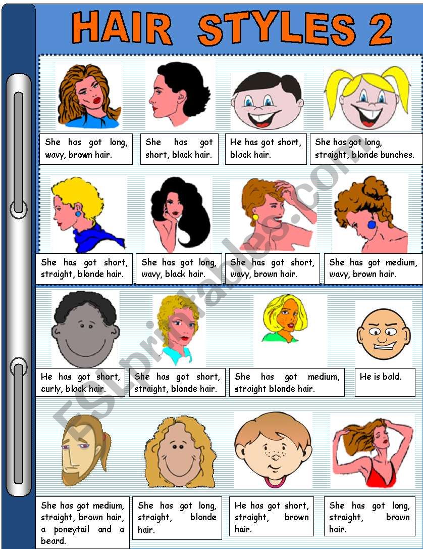 HAIR STYLES worksheet