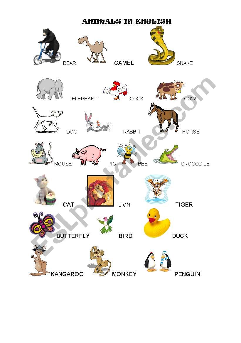 ANIMALS IN ENGLISH worksheet