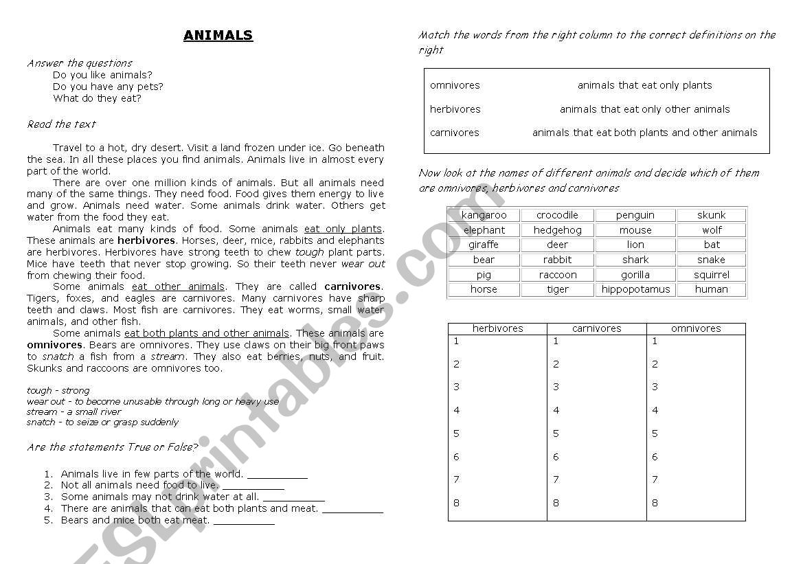 Animals - Herbivore, Carnivore, Omnivore