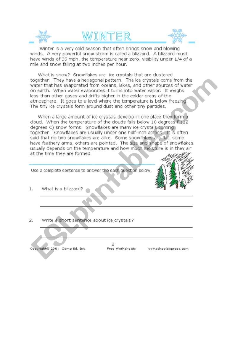 Winter worksheet worksheet