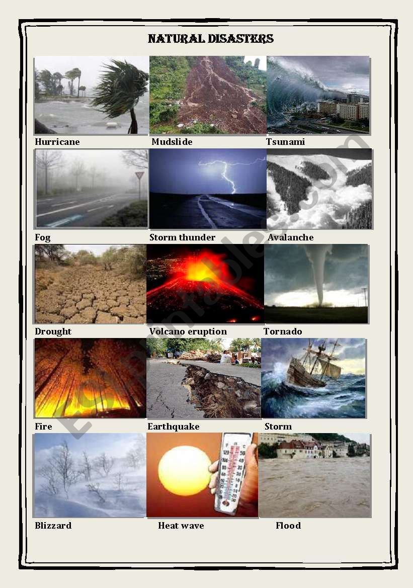 Natural Disasters worksheet