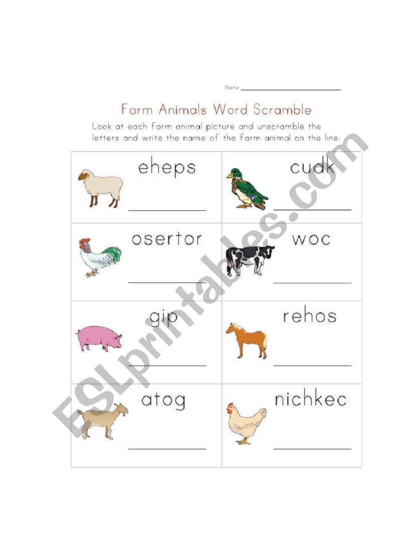 Animals Worksheet worksheet