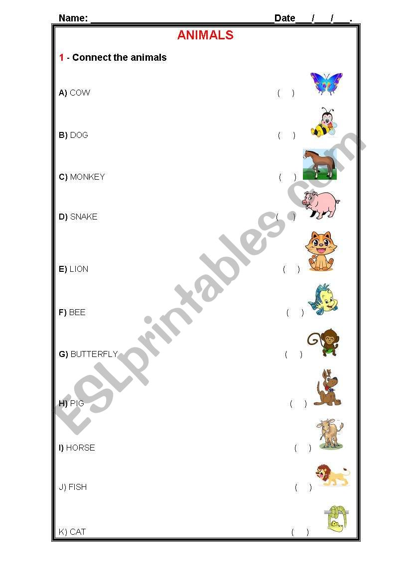 Animals  worksheet