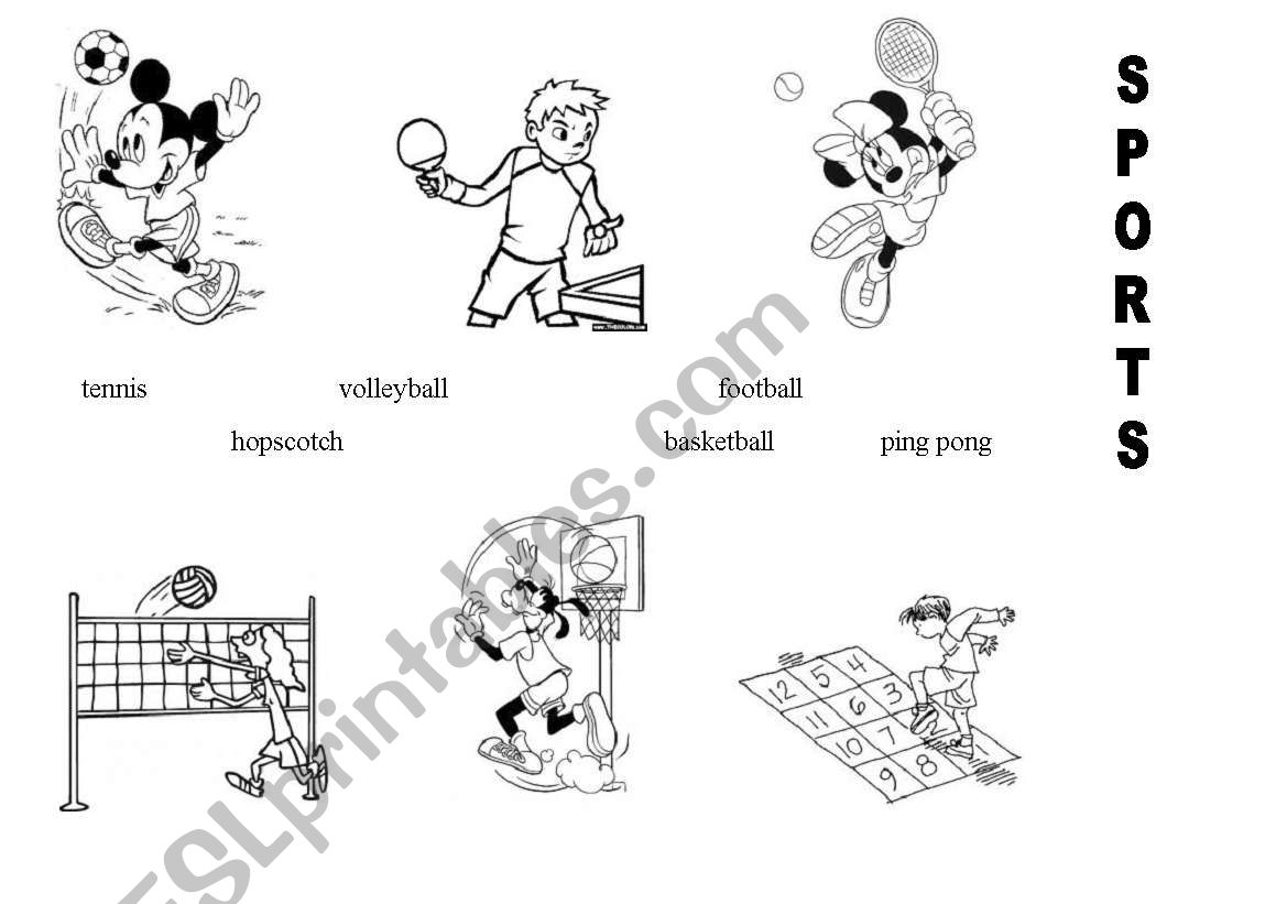 SPORTS worksheet