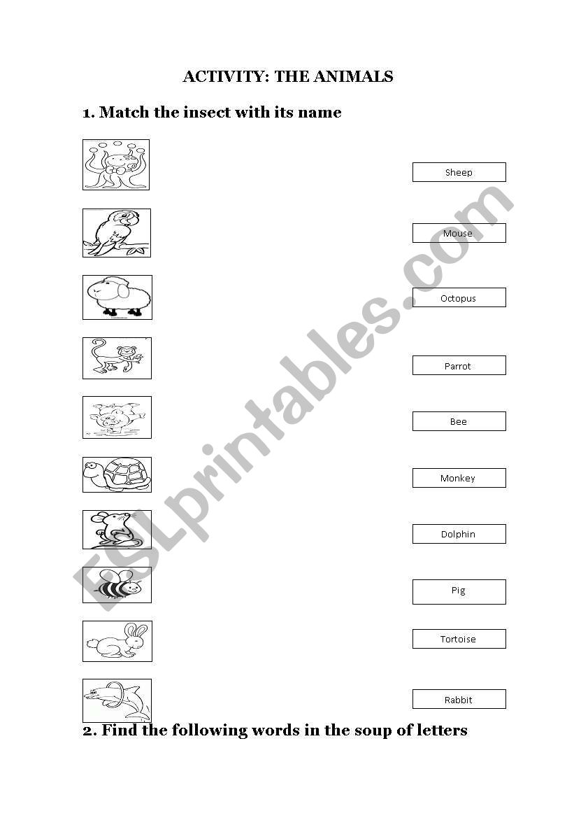 THE ANIMALS worksheet