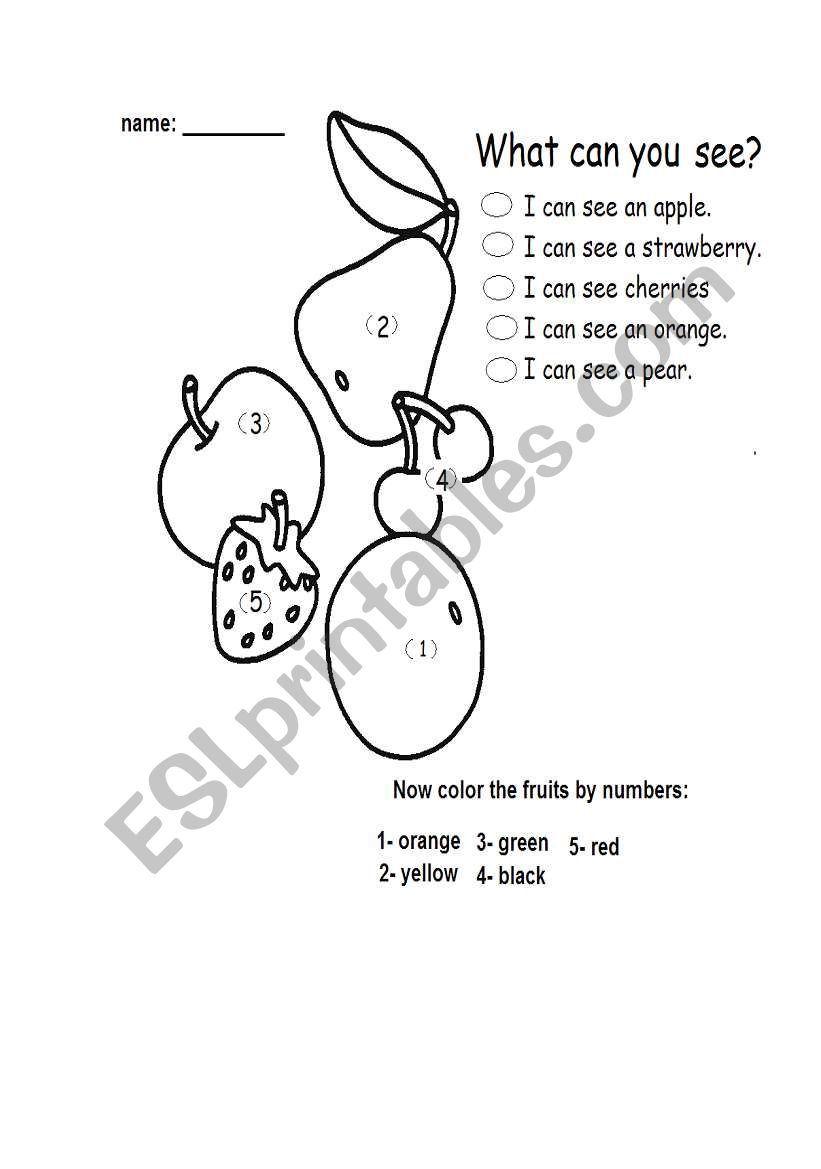 What can you see? worksheet