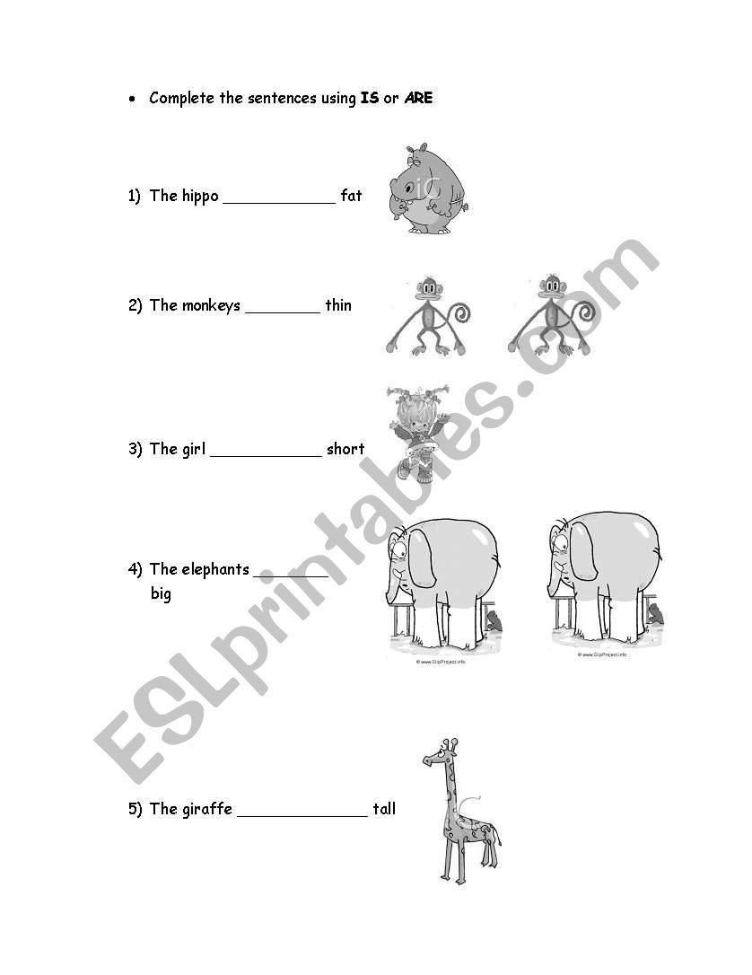 singular or plural worksheet