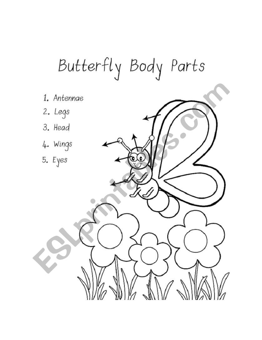 Butterfly Body Parts worksheet