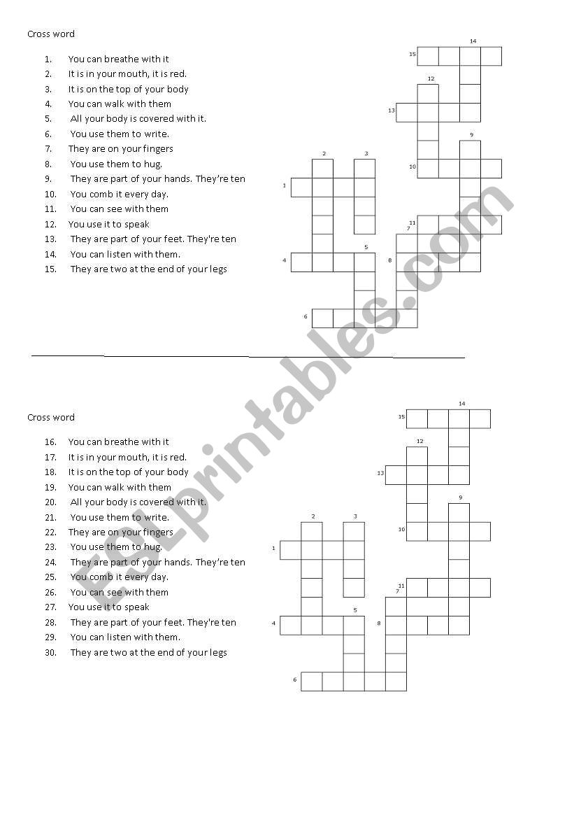 The body crossword worksheet