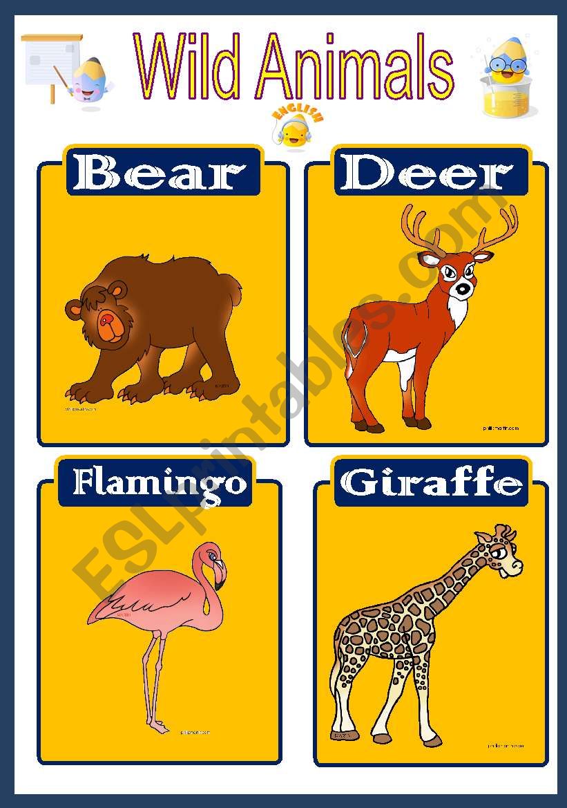 Wild Animal Flashcard 4 worksheet