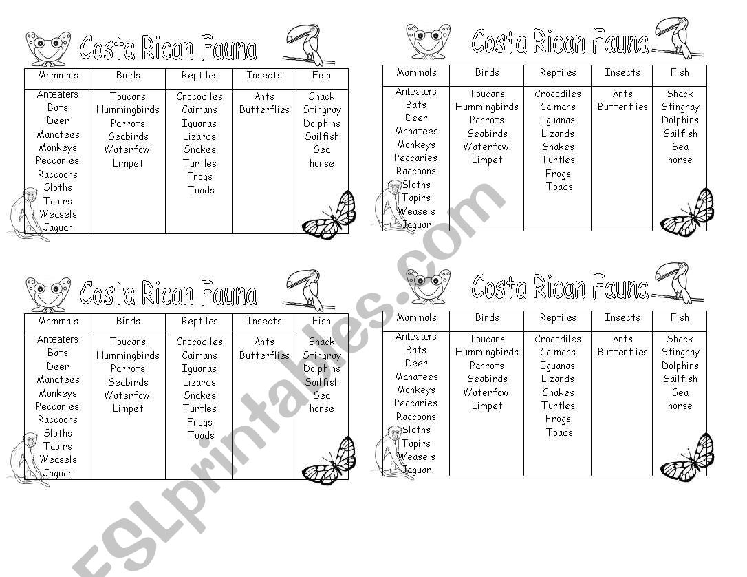 Costa Rican fauna worksheet