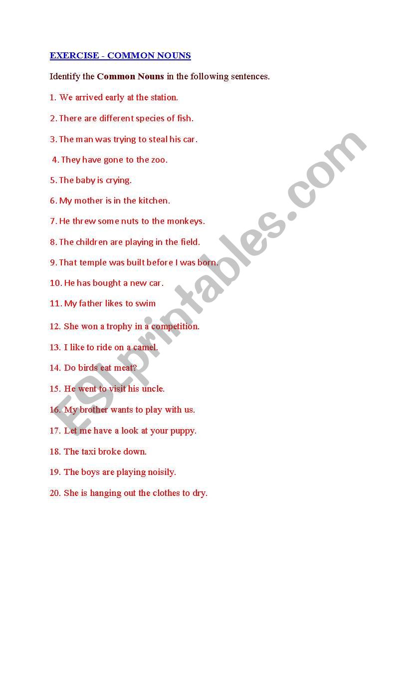 COMMON NOUNS worksheet