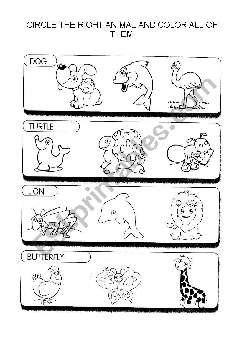 Color the right animal worksheet