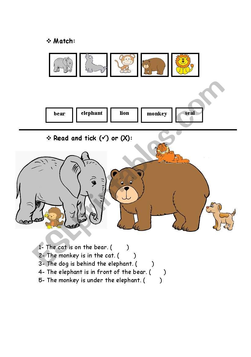 (preposition)  worksheet