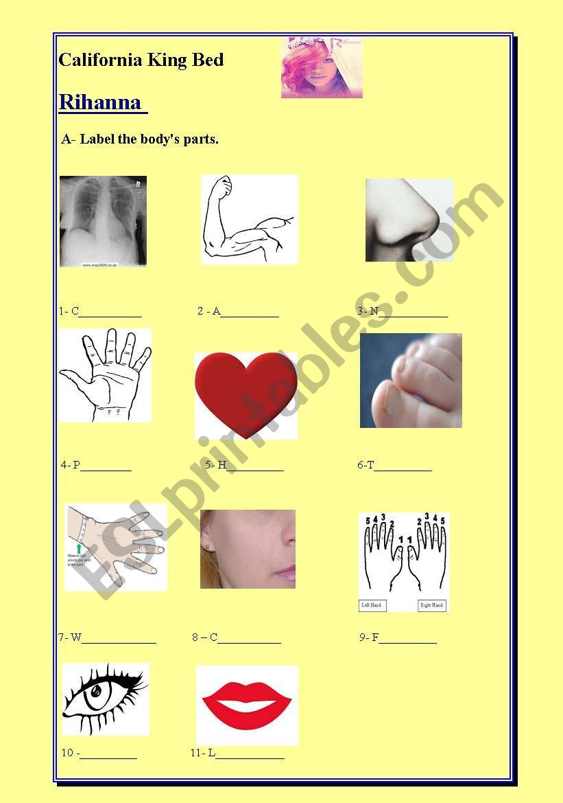Body parts - Song worksheet