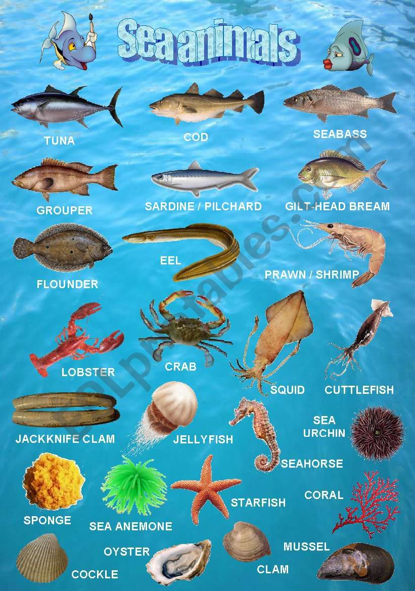 Sea animals 2/2 worksheet