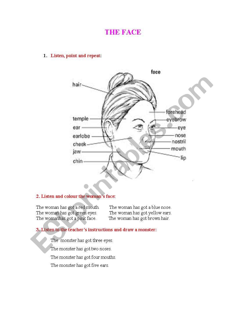 The face worksheet