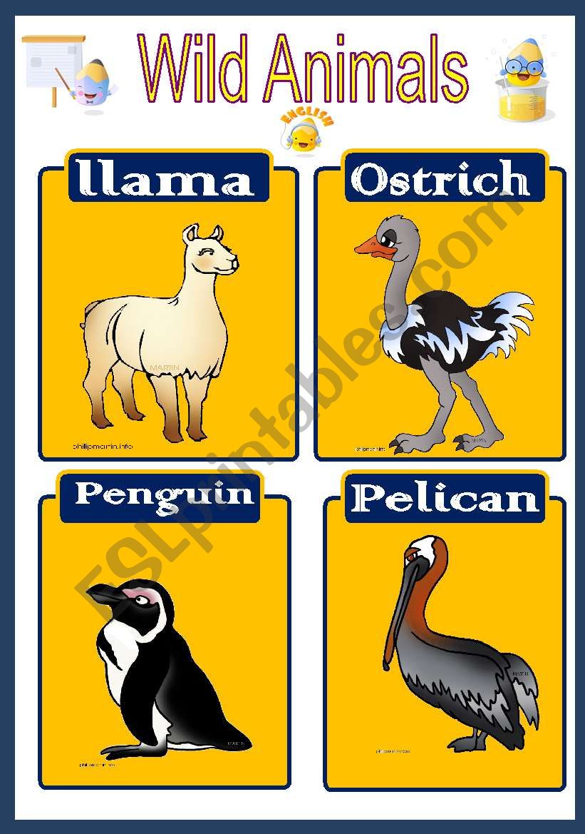 WILD ANIMALS 5 worksheet