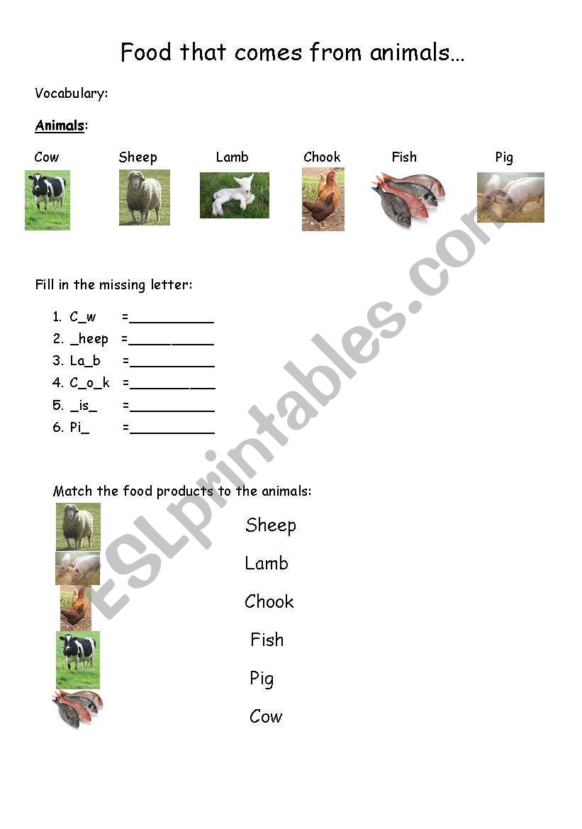 Where does food come from? worksheet