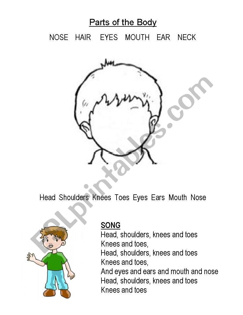 Face and Body worksheet