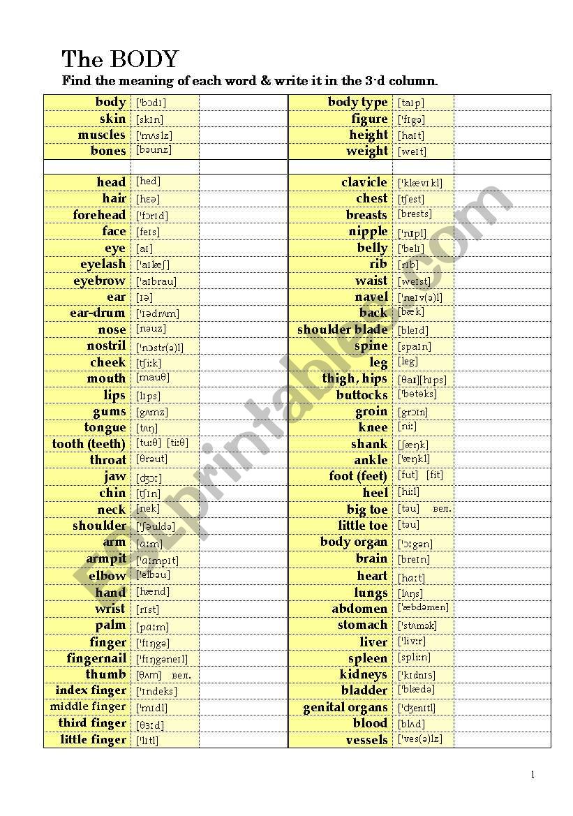 The BODY worksheet