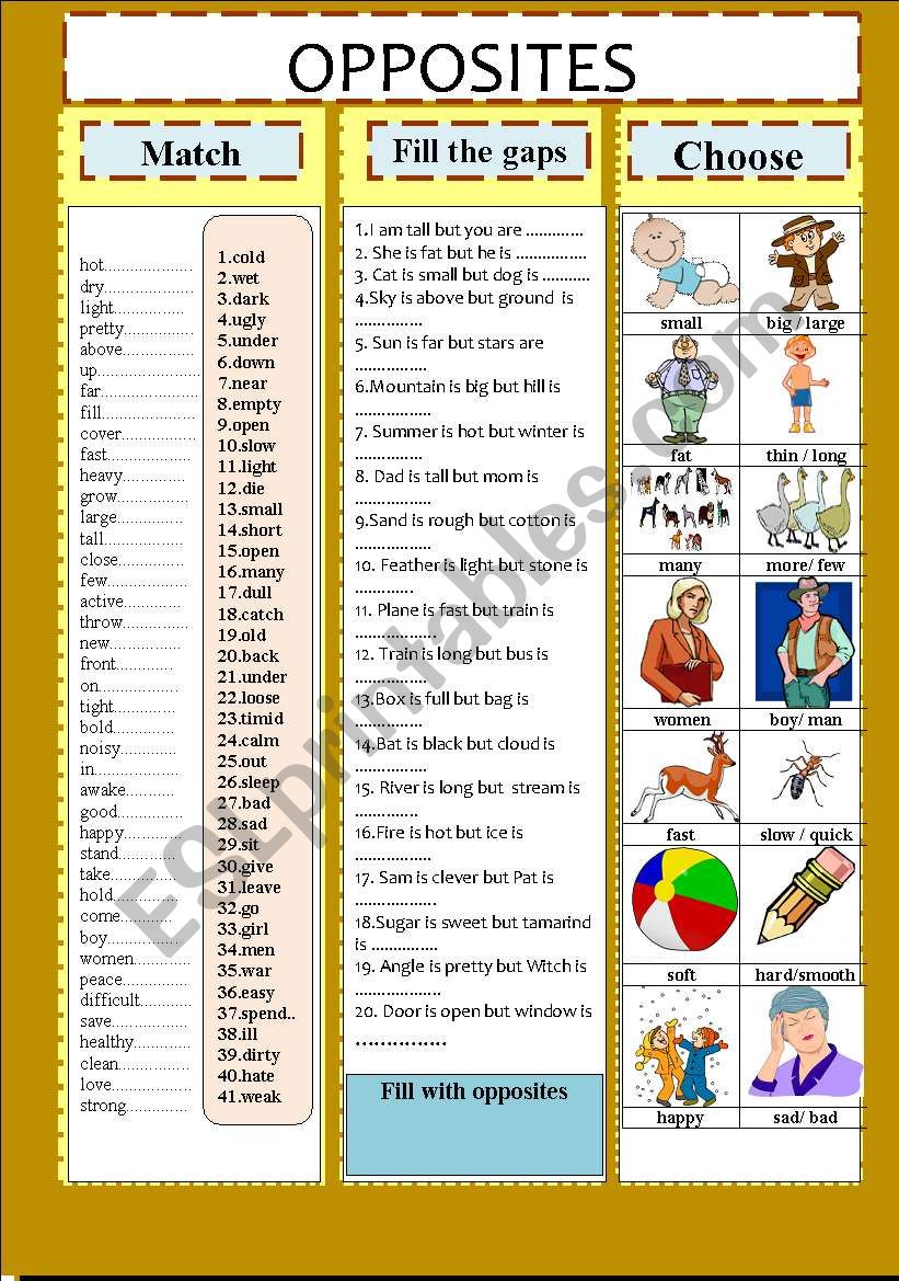 OPPOSITES worksheet