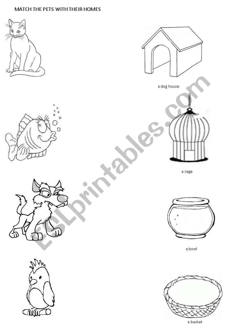 PETS worksheet