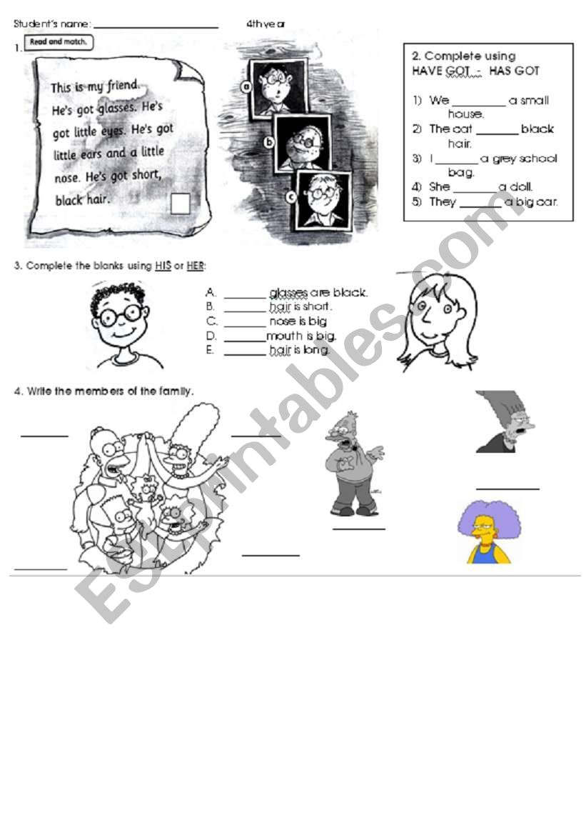 Have got - has got worksheet