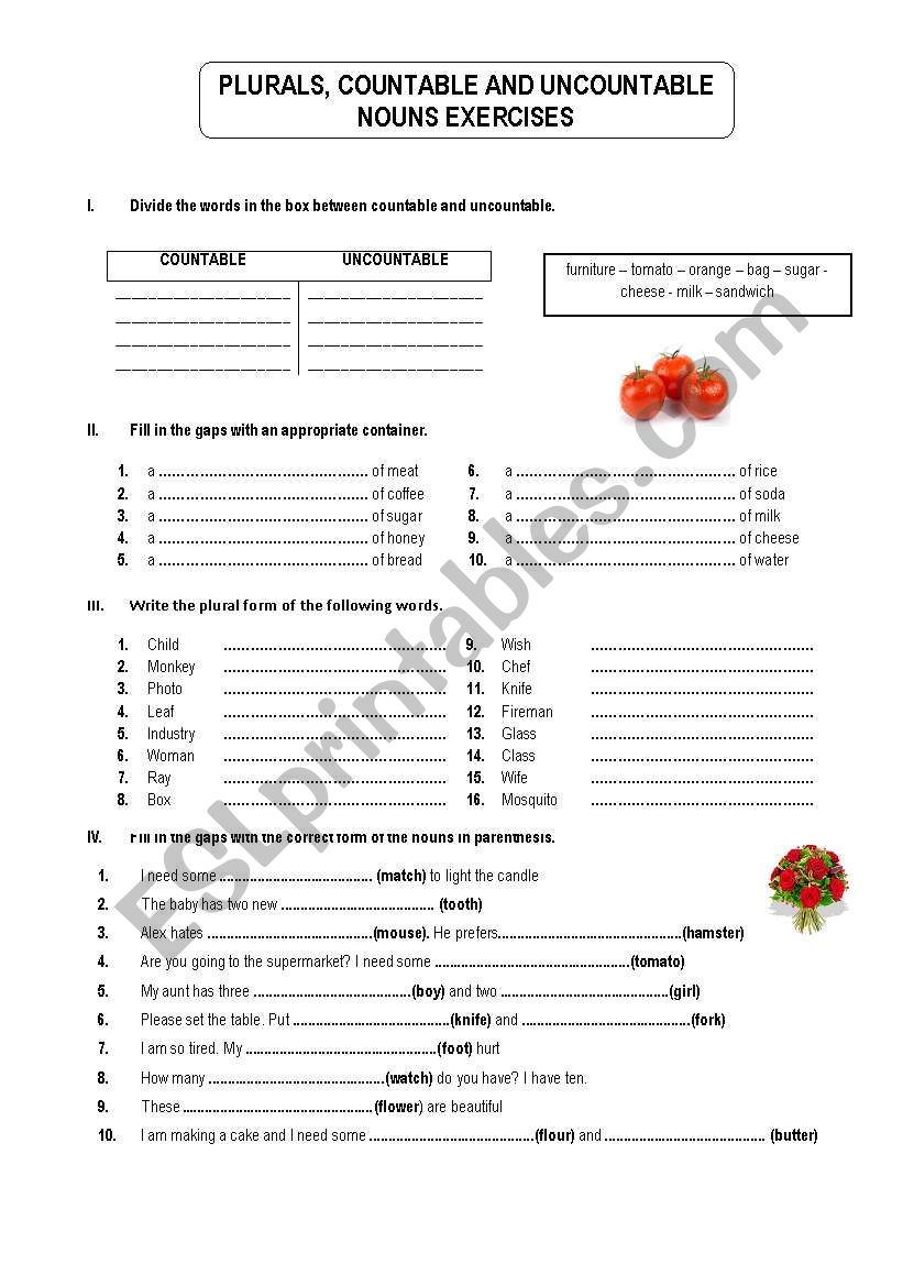 PLURALS, COUNTABLE AND UNCOUNTABLE NOUNS