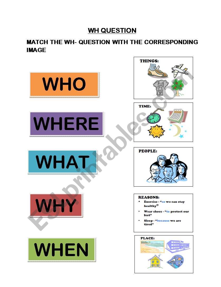 Wh Questions worksheet