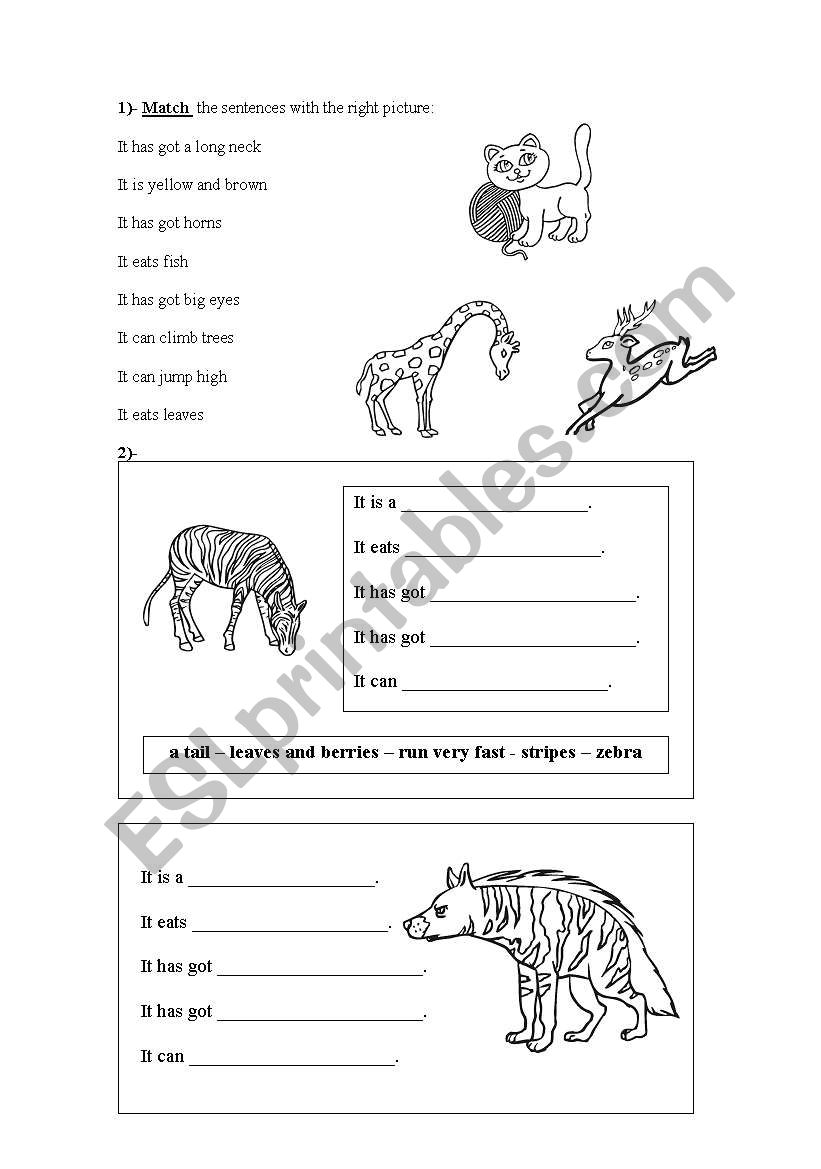 Animal description worksheet