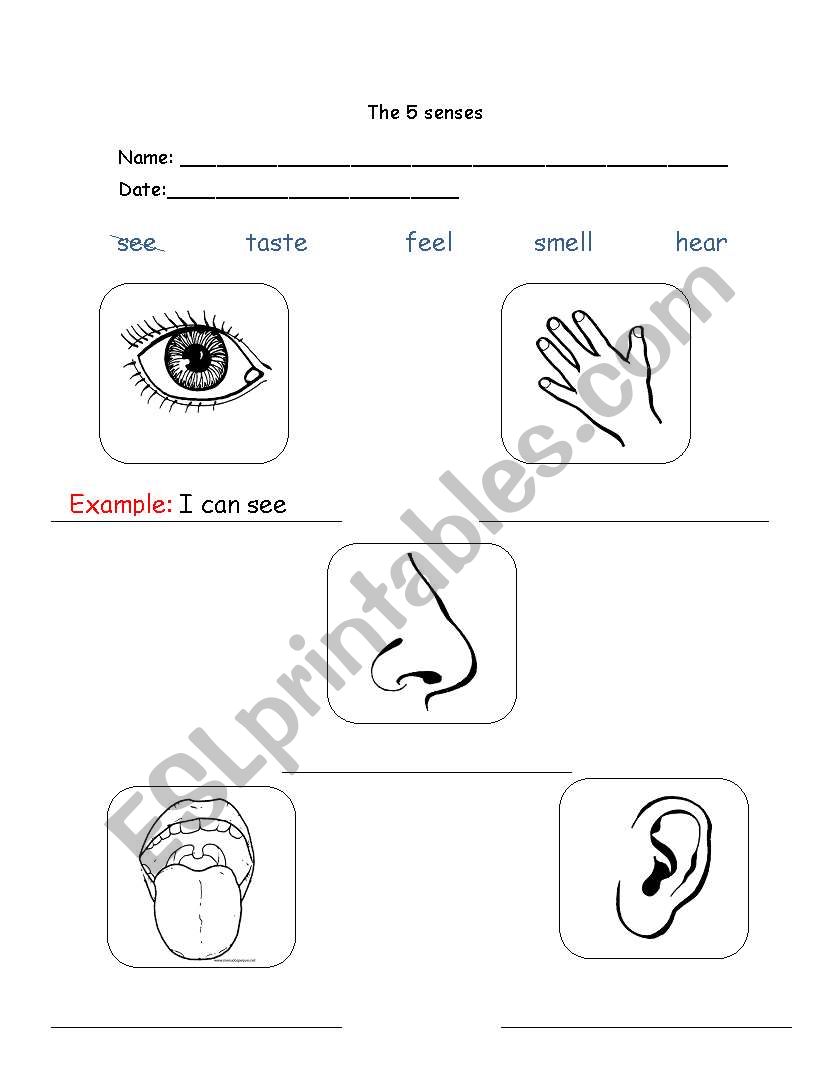 The Five senses worksheet
