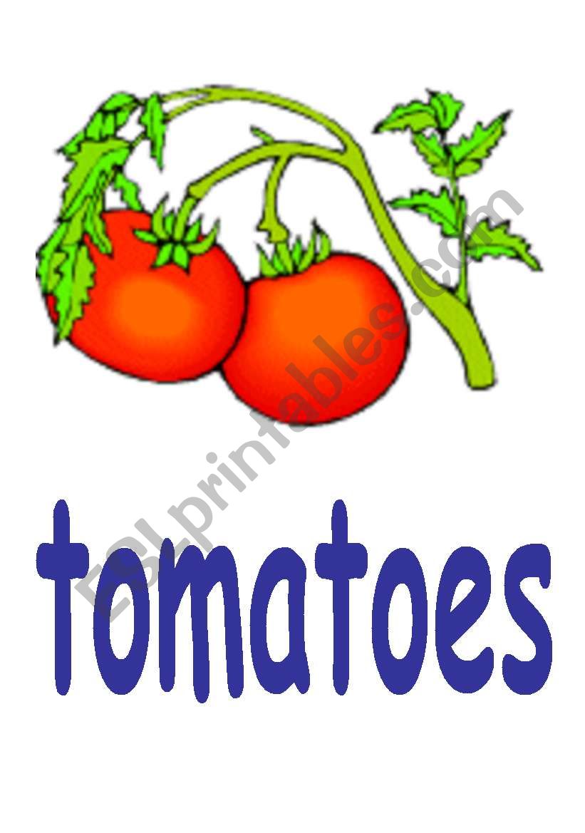 tomatoes worksheet