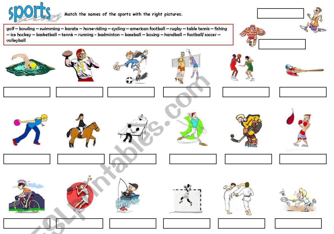 sports (part 1) worksheet