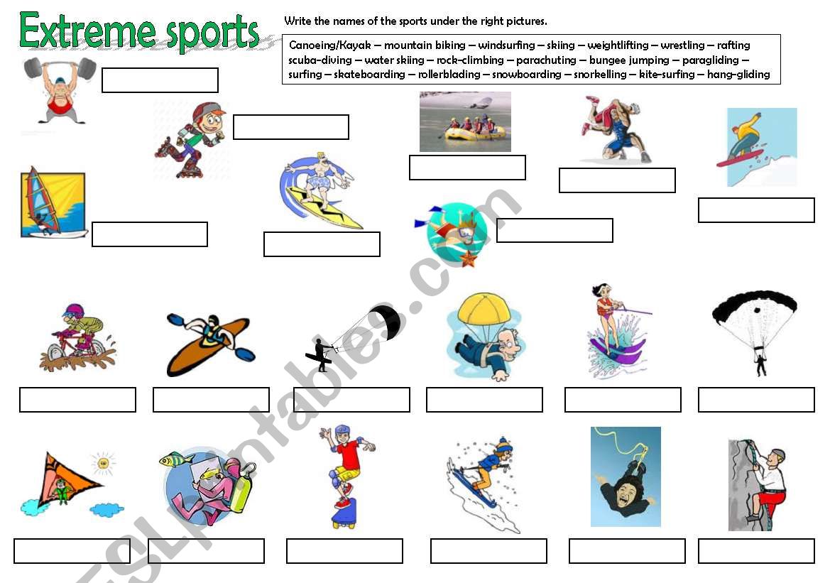 sports (part 2) worksheet