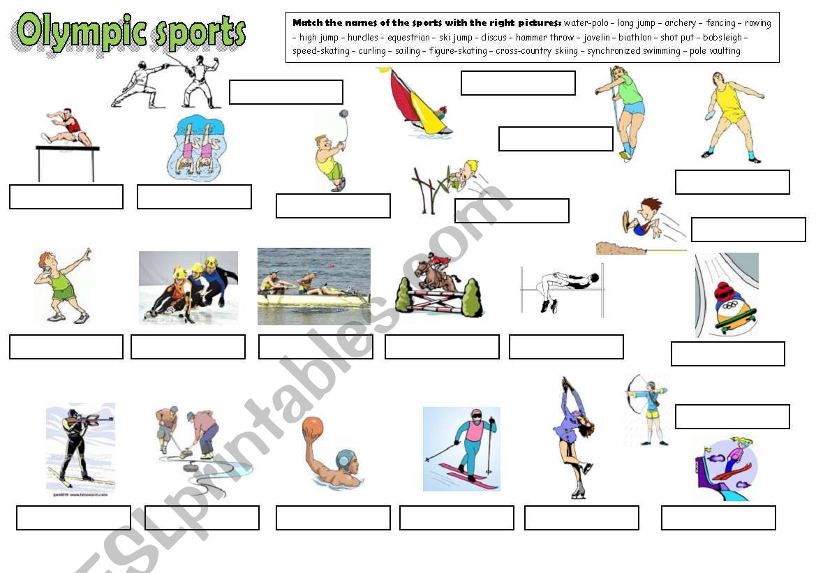 sports (part 3) worksheet